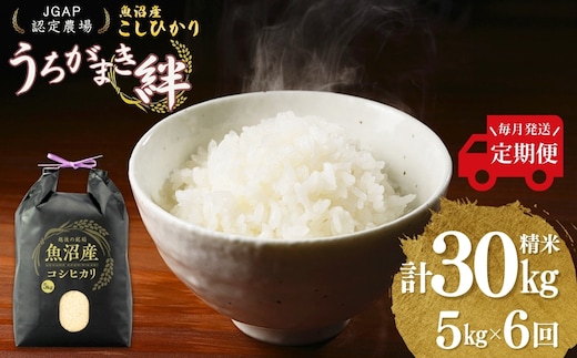 【JGAP認証農場】令和7年産 魚沼産コシヒカリ 定期便 計30kg（5kg×1袋×毎月全6回） うちがまき絆 【0002-UK06DB00-02】