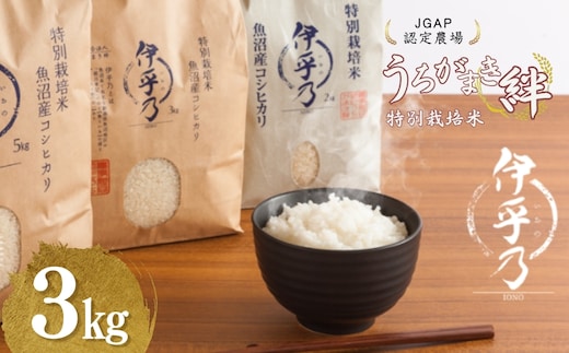 【JGAP認証農場】令和7年産 魚沼産コシヒカリ 特別栽培米「伊乎乃」 精米3kg うちがまき絆 【0002-UK08-01】