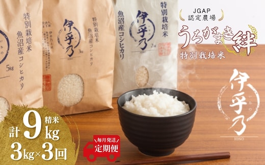 【JGAP認証農場】令和7年産 魚沼産コシヒカリ 特別栽培米「伊乎乃」 精米計9kg（3kg×1袋） 定期便毎月全3回 うちがまき絆【0002-UK10DB00-01】