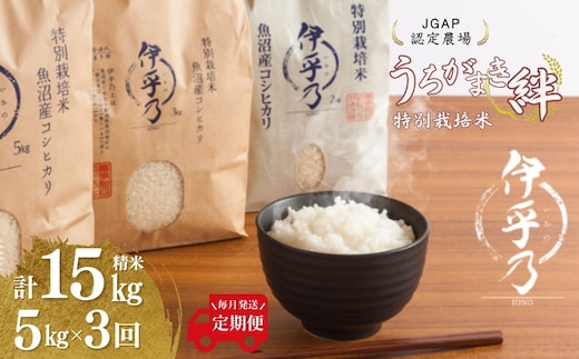 【JGAP認証農場】令和7年産 魚沼産コシヒカリ 特別栽培米「伊乎乃」 精米計15kg（5kg×1袋） 定期便毎月全3回 うちがまき絆【0002-UK11DB00-01】
