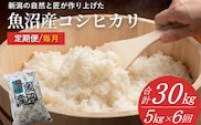 米 コシヒカリ魚沼産コシヒカリ 魚沼コシヒカリ 定期便 計30kg(5kg×6回) 毎月お届け 令和8年産 先行予約 精米 共栄農工社 | 魚沼産こしひかり 魚沼こしひかり 新潟県産コシヒカリ 新潟産コシヒカリ 新潟県産こしひかり こしひかり 新潟産こしひかり 新潟こしひかり 新潟コシヒカリ お米 白米 おこめ コメ オコメ にいがた 新潟県 小千谷市 【0002-KY14DB00】