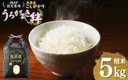 【JGAP認証農場】令和7年産 魚沼産コシヒカリ 精米5kg(5kg×1袋) うちがまき絆 【0002-UK01-02】
