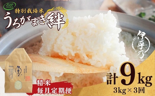 【JGAP認証農場】令和7年産 魚沼産コシヒカリ 特別栽培米「伊乎乃」 精米計9kg（3kg×1袋） 定期便毎月全3回 うちがまき絆【0002-UK10DB00-01】