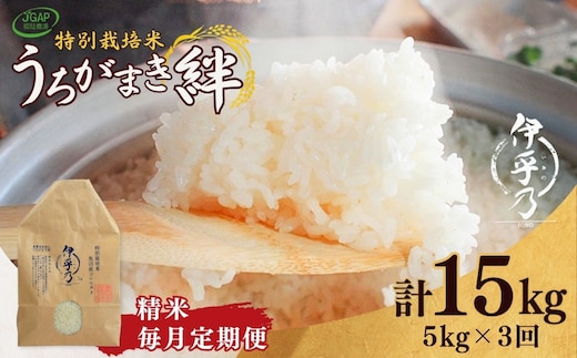 【JGAP認証農場】令和7年産 魚沼産コシヒカリ 特別栽培米「伊乎乃」 精米計15kg（5kg×1袋） 定期便毎月全3回 うちがまき絆【0002-UK11DB00-01】