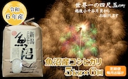 K76P307 ＜令和6年産＞魚沼産コシヒカリ定期便 5kg×6回（毎月お届け）【(有)米萬商店】世界一の四尺玉の町片貝町 白米 魚沼 米 定期便