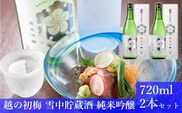日本酒 純米吟醸 越の初梅 雪中貯蔵酒 720ml×2本 雪国でしか味わえない極上酒 新潟県 高の井酒造 【0002-0050-01】