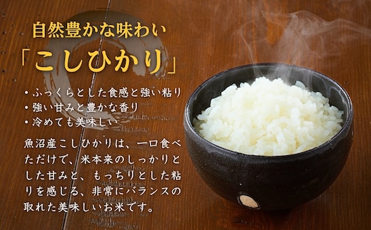 令和7年産】魚沼産コシヒカリ棚田米 精米 5kg×2袋 佐藤農場 | d