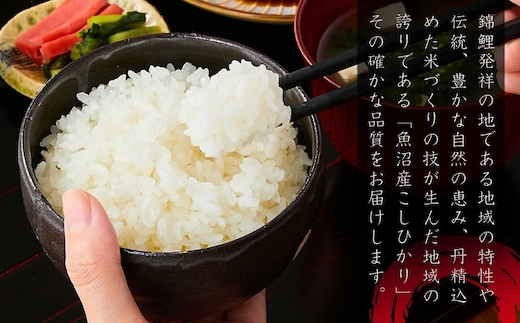 令和7年産】魚沼産コシヒカリ棚田米 精米 5kg×2袋 佐藤農場 | d