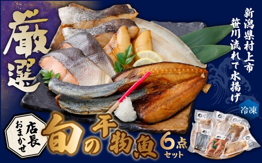 新潟県村上市笹川流れで水揚げ 旬の干物魚6点セット(店長おまかせ)1057001