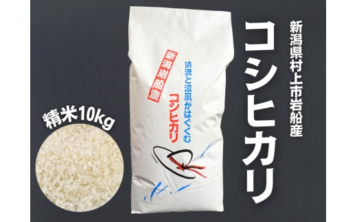 【令和7年産米】新潟県村上市 岩船産コシヒカリ 精米 10kg×1袋 1100001