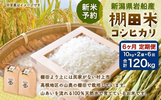 【新米受付・令和8年産米】【定期便：6ヶ月連続でお届け】新潟県村上市岩船産 棚田米コシヒカリ 20kg×6ヶ月 1011012N 定期便 毎月 新米予約 お米 白米 こしひかり 精米 村上市