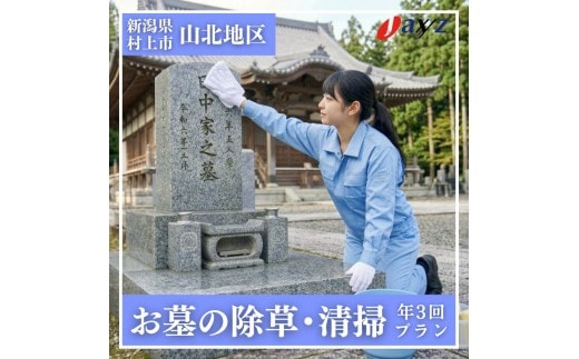 【年3回】お墓掃除代行サービス（清掃・除草プラン）【対象地区：山北地区】1106006 新潟県 村上市 （株）日本アクシィーズ お墓 掃除 草刈り