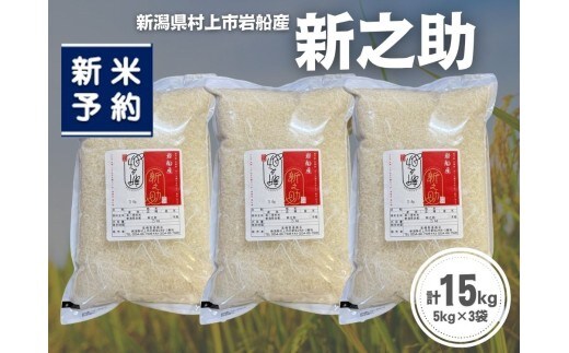 【新米受付・令和8年産米】新潟県村上市岩船産 新之助15kg（5kg×3袋）1099012N