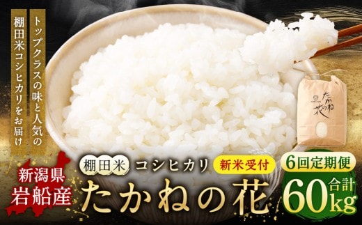 【新米受付・令和8年産米】【定期便：6ヶ月連続でお届け】新潟県村上市岩船産 棚田米コシヒカリ「たかねの花」 10kg×6ヶ月 1104006N