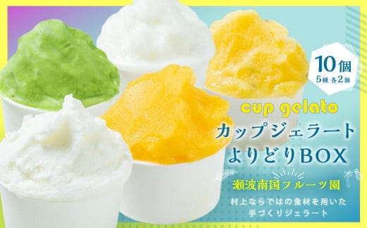 A4124 【瀬波南国フルーツ園】カップジェラートよりどりBOX(80g×10個入り) マンゴー パッションフルーツ ヨーグルト