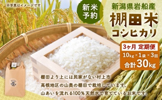 【新米予約・令和8年産米】【定期便：3ヶ月連続でお届け】新潟県村上市岩船産 棚田米コシヒカリ 10kg×3ヶ月 1011005N