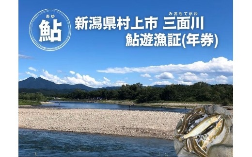 【2026年シーズン用】新潟県村上市「三面川(みおもてがわ)」鮎遊漁証(利用期間:2026年6月27日から11月30日まで)鮎 アユ あゆ 鮎釣り 遊漁券 フィッシング 釣り アウトドア 体験1044001