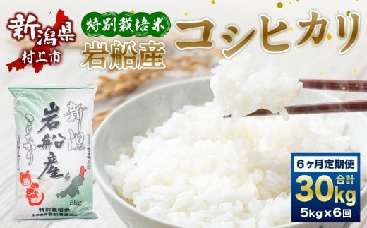 【令和7年産米】特別栽培米 新潟県岩船産 コシヒカリ 30kg(5kg×6ヶ月コース) 定期便 毎月 お米 白米 こしひかり 精米 村上市 1013012