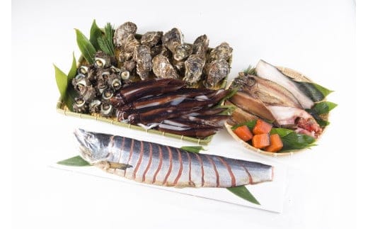 F4021 【年3回お届け】【2月より順次発送】旬の地魚と手造りおまかせ干物と塩引鮭半身のセット ひもの 一夜干し 鮭 さけ かき 岩ガキ 岩かき 真イカ いか さざえ 真だら たら かに 新潟県 村上市 定期便 詰め合わせ 詰合せ