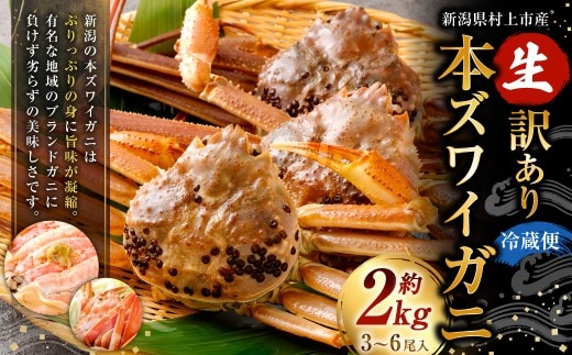 【1月～3月発送】【訳あり】冷蔵便 生本ズワイガニ 約2kg（3～6尾入）1079004