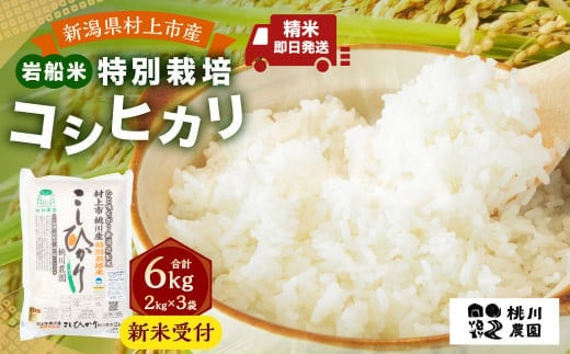 【新米受付・令和8年産米】 新潟県村上市桃川産 特別栽培 コシヒカリ 6kg(2kg×3袋) NA4209