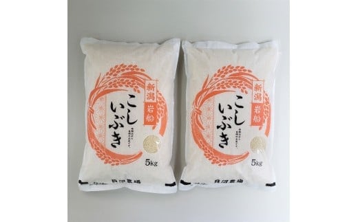 【令和7年産米】 こしいぶき 白米10kg(5kg×2) 新潟県村上市岩船産 1067103