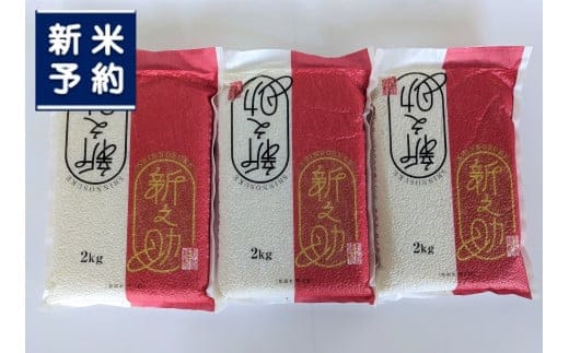 【新米受付・令和8年産米】新潟県村上市 新之助 6kg（2kg×3個）【鮮度直送！精米したてを真空パック】NA4220
