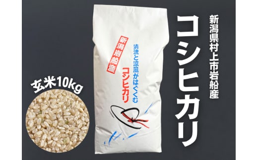 【令和7年産米】新潟県村上市 岩船産コシヒカリ 玄米 10kg×1袋 1100002