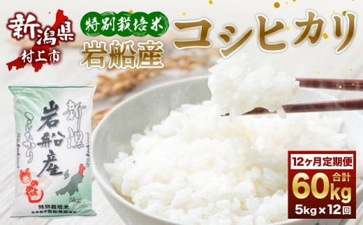 【令和7年産米】特別栽培米 新潟県岩船産 コシヒカリ 60kg(5kg×12ヶ月コース) 定期便 毎月 お米 白米 こしひかり 精米 村上市 1013013