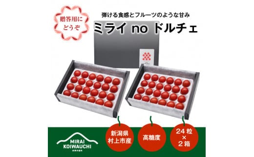 B4121 【数量・期間限定】【7月上旬から順次発送】『ミライ no ドルチェ』プレミアム 新潟県村上産ミニトマト(化粧箱入り)500g程度×2ケース