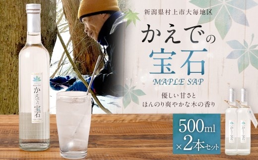 メープルサップ「かえでの宝石」500ml×2本セット 1093001 
