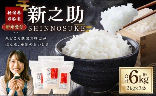 【新米受付・令和8年産米】新潟県村上市岩船産 新之助6kg（2kg×3袋）1099003N