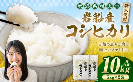 【新米受付・令和8年産米】新潟県村上市岩船産 岩船産コシヒカリ10kg(5kg×2袋) 1102002N