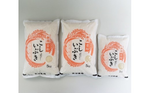 【令和7年産米】 こしいぶき 白米12kg(5kg×2、2kg×1) 新潟県村上市岩船産 1067104