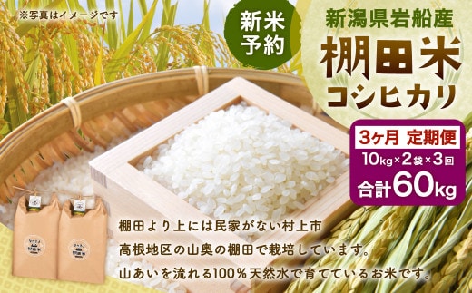 【新米受付・令和8年産米】【定期便：3ヶ月連続でお届け】新潟県村上市岩船産 棚田米コシヒカリ 20kg×3ヶ月 1011011N 定期便 毎月 新米予約 お米 白米 こしひかり 精米 村上市