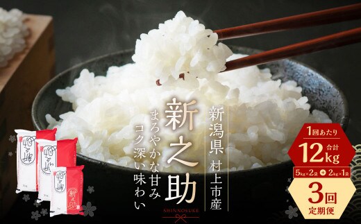 【令和7年産米】【3ヶ月定期便】村上市産 新之助 36kg （12kg×3ヶ月）コース 1027040