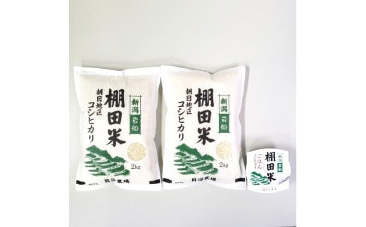 【令和7年産米】【6ヶ月定期便】新潟県村上市岩船産 棚田米コシヒカリ 4kg(2kg×2袋)+パックごはん(150g×1個) ×6ヶ月 1067145