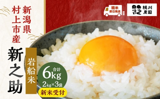 【新米受付・令和8年産米】【精米即日発送】新潟県村上市産 特別栽培米 新之助6kg（2kg×3袋）NA4100