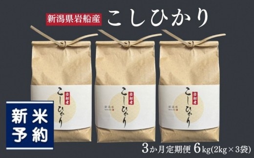 【新米受付・令和8年産米】【定期便：3ヶ月お届け】新潟県村上市 岩船産コシヒカリ6kg（2kg×３袋）×3ヶ月 合計18kg 1103002N
