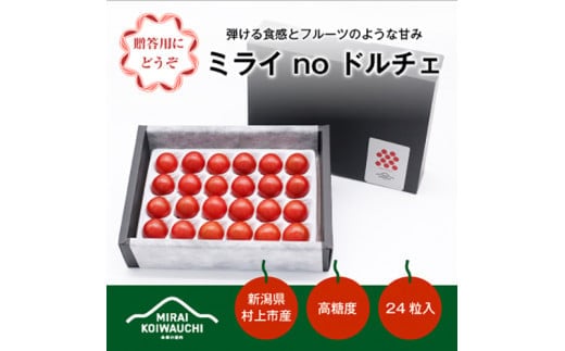 A4211 【数量・期間限定】【7月上旬から順次発送】『ミライ no ドルチェ』プレミアム 新潟県村上産ミニトマト(化粧箱入り)500g程度×1ケース