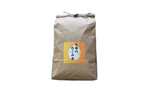 【令和7年産米】新潟県村上市産 コシヒカリ「大毎のめぐみ米」5kg 1093003