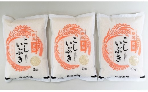【令和7年産米】 こしいぶき 白米6kg(2kg×3) 新潟県村上市岩船産 1067102