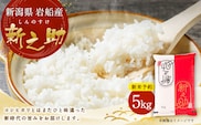 【新米受付・令和8年産米】 新潟県村上市岩船産 新之助5kg 1013002N