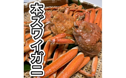 【11月から発送予定】【訳あり】浜茹で 本ズワイガニ 足欠「雄ガニ 2杯（約600g）」 1043006 蟹 かに ずわい蟹 ズワイガニ
