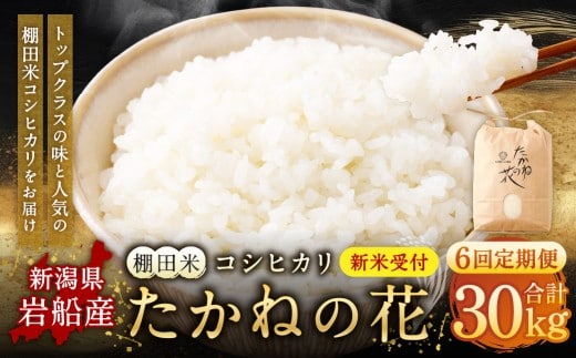 【新米受付・令和8年産米】【定期便：6ヶ月連続でお届け】新潟県村上市岩船産 棚田米コシヒカリ「たかねの花」 5kg×6ヶ月 1104004N