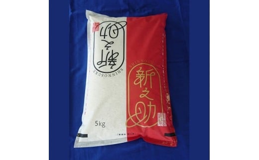 【令和7年産米】新潟県村上市 新之助5kg 1033005