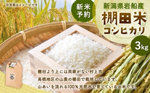 【新米受付・令和8年産米】新潟県村上市岩船産 棚田米コシヒカリ 3kg 1011007N