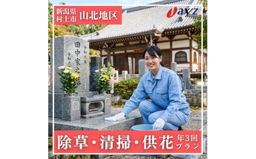 【年3回】お墓掃除代行サービス（清掃・除草・供花プラン）【対象地区：山北地区】1106012 新潟県 村上市 （株）日本アクシィーズ お墓 掃除 草刈り お墓参り