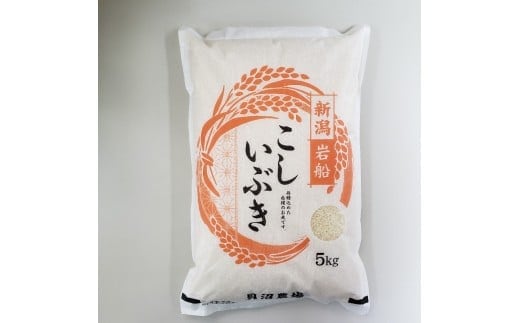 【令和7年産米】 こしいぶき 白米5kg(5kg×1) 新潟県村上市岩船産 1067101