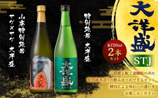 大洋盛 セット STJ(720ml 飲み比べ 2本セット)1009004 大洋酒造 サケ×サケ大洋盛 特別純米大洋盛 日本酒 お酒 酒
